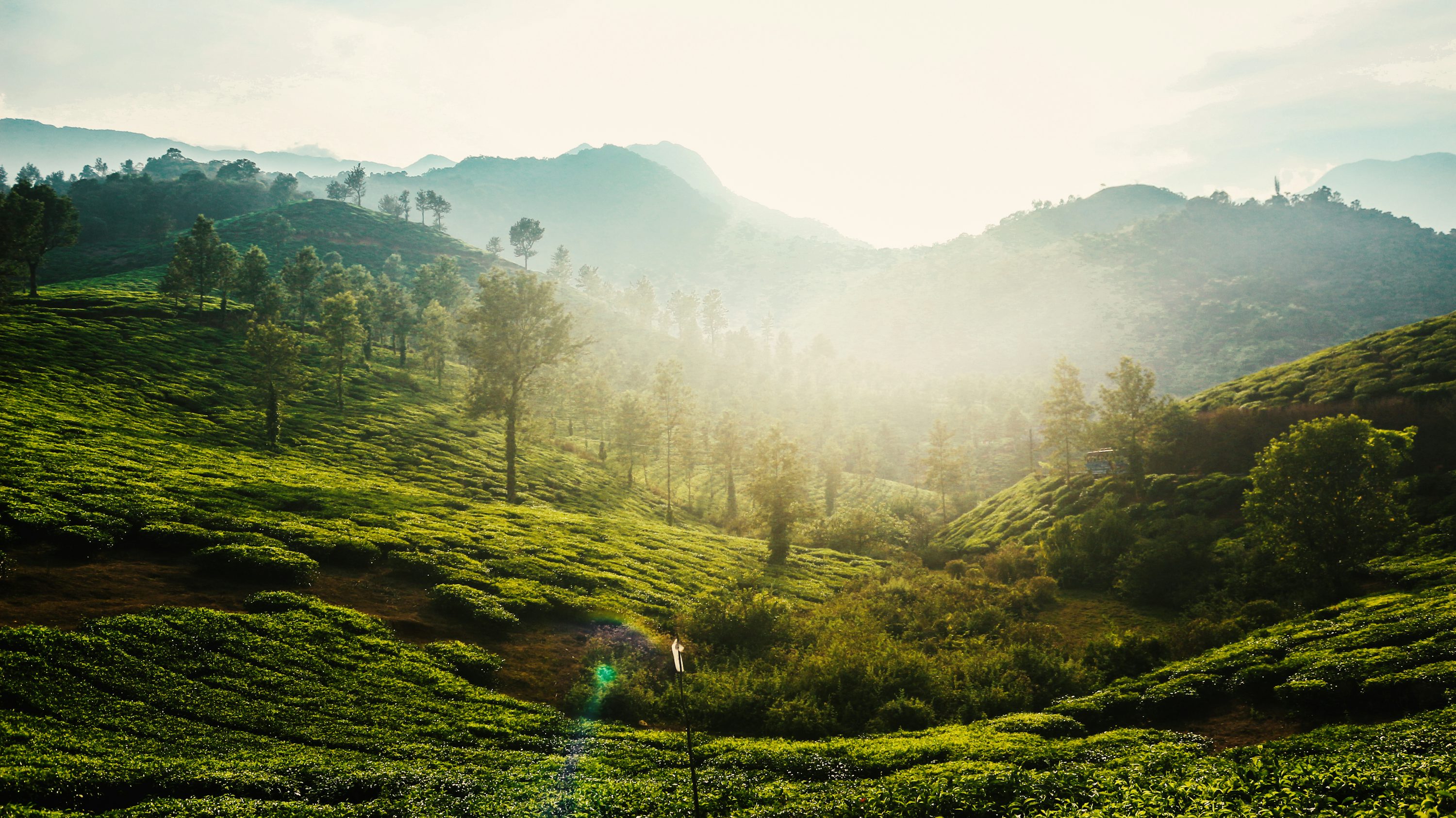 Wayanad Sight Scene